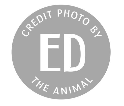 @edtheanimal OnlyFans