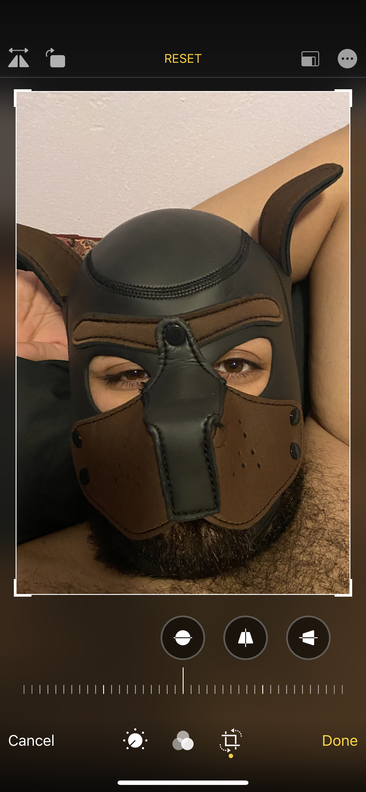 @scruffysonasty OnlyFans