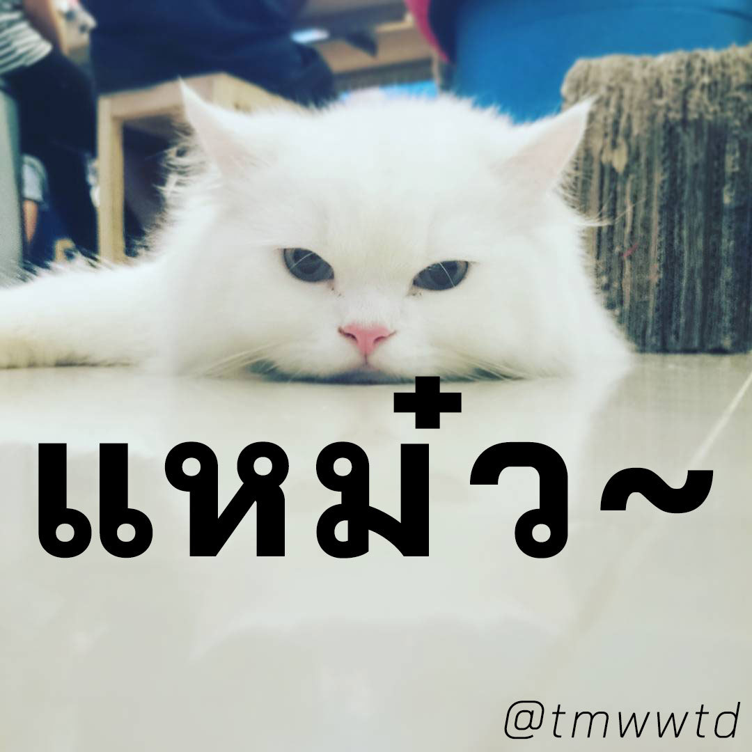 @tmwwtdonlyfans OnlyFans