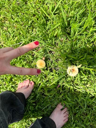 @venusfeet4u